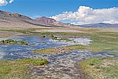 Ladakh - Tso-Kar 